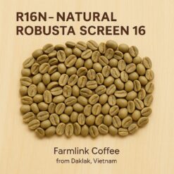 R16N – Natural Robusta Screen 16