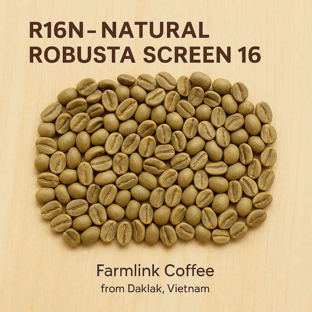 R16N – Natural Robusta Screen 16